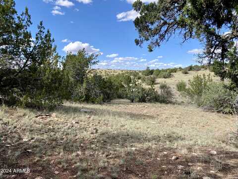 5733 W CLOVE HITCH Road, Williams, AZ 86046