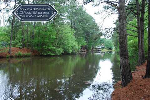 Lot #91 N Valhalla Circle, Cordele, GA 31015