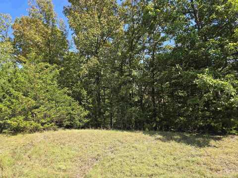 Lot 89 Fern Place, Fairfield Bay, AR 72088