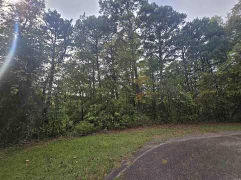 Lot 4 Oakwood Court, Fairfield Bay, AR 72088