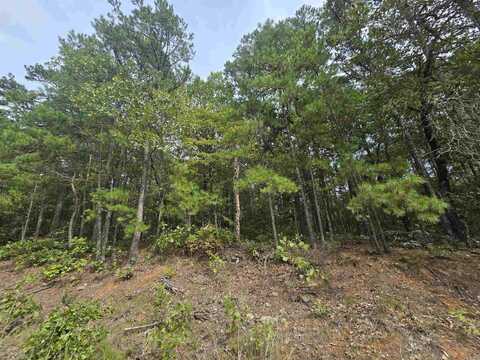 Lot 374 Oakwood Lane, Fairfield Bay, AR 72088