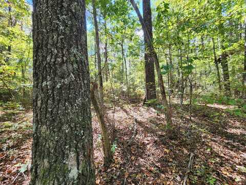 Lot 17 Whitetail Drive, Mentone, AL 35984