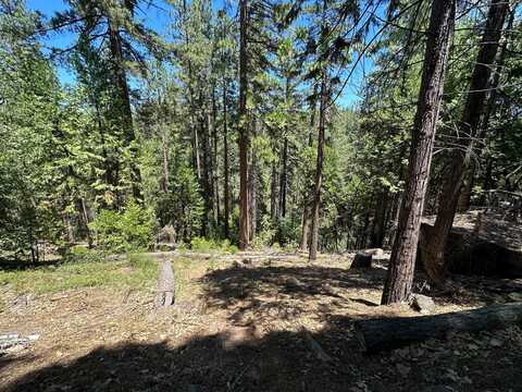 487 Canyon View Drive, Hathaway Pines, CA 95233