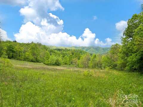 Tbd Baltimore Branch Road, Hot Springs, NC 28743