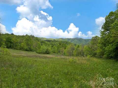 Tbd Baltimore Branch Road, Hot Springs, NC 28743