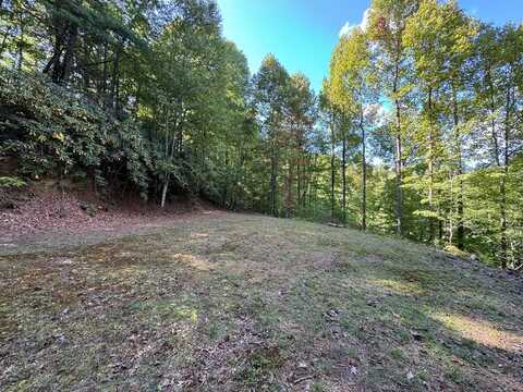 Lot E Twin Coves Rd, Bryson City, NC 28713