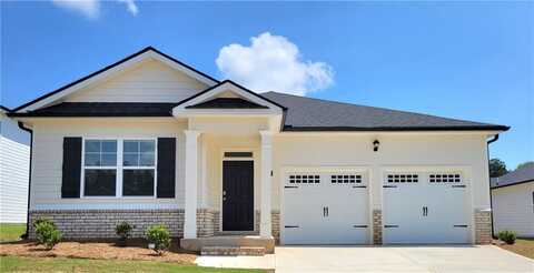 134 Oakchase Park Lane, Hampton, GA 30228