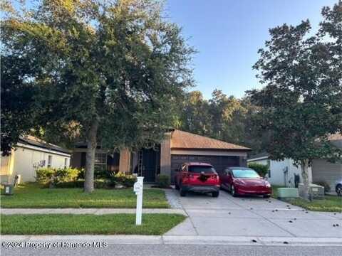 1248 Hill Flower Drive, Brooksville, FL 34604