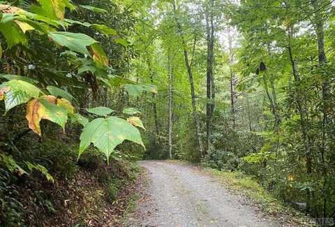 Lot F114 Tremble Ridge Road, Glenville, NC 28736