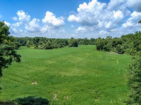 LOT 1 DOLAN, Drummonds, TN 38023