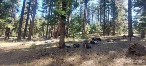 1 +/- Acre McKenney Drive, Alturas, CA 96101