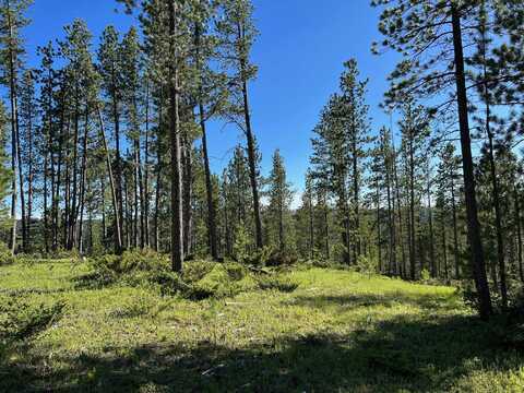 Lot 5 Boles Canyon Road, Lead, SD 57754