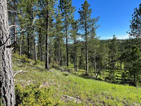 Lot 6 Boles Canyon Road, Lead, SD 57754