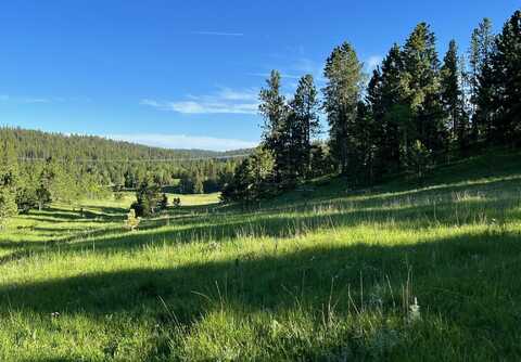 Lot 8 Boles Canyon Road, Lead, SD 57754