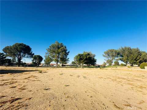 15100 Bluegrass Drive, Helendale, CA 92342