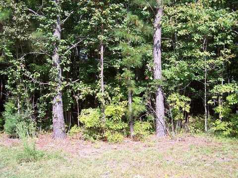 Lots 133 Little John Street, Reedville, VA 22539