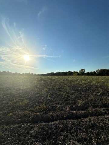 Tbd Cr-825, Blue Ridge, TX 75424