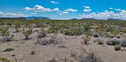 0 Cedar Springs Road, Terlingua, TX 79852