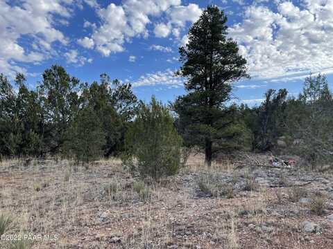 54663 N Forest Grove Way, Seligman, AZ 86337