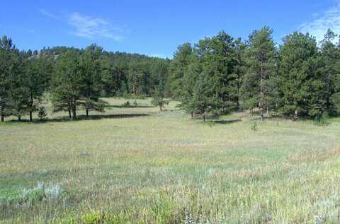 3032 County Road 12, Florissant, CO 80816