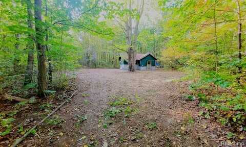 7528 OLD STUMP Road, Gaylord, MI 49735