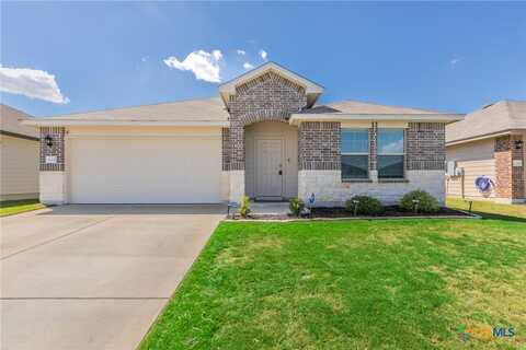 133 Hammond Court, Jarrell, TX 76537