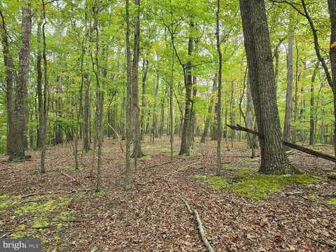 SIDELING MOUNTAIN TRAIL - LOTS 64 & 65, GREAT CACAPON, WV 25422