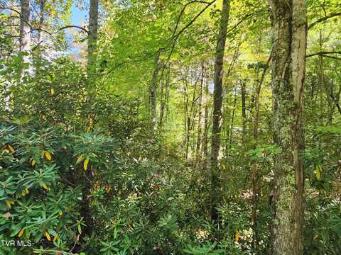 Lot 4 Myrtle Drive, Mountain City, TN 37683