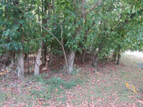 0 Baywood Dr. Lot 3, Piney Flats, TN 37686