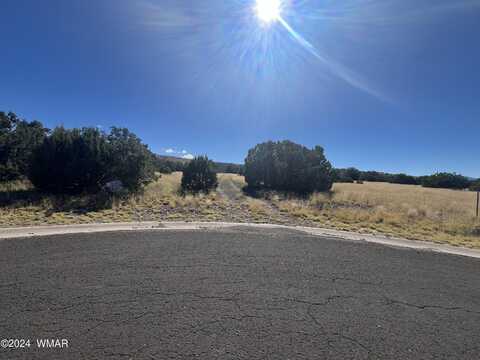 Lot 42 Sky Crest Drive, Eagar, AZ 85925