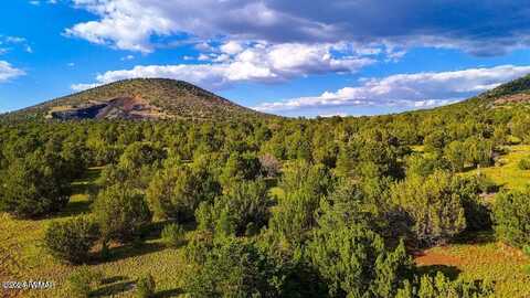 5669,5693 & 5715 N Cunning Blvd 3 Acres, Williams, AZ 86046