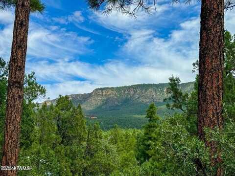 Tbd Hillside Rd Lots 30 & 51, Pine, AZ 85544