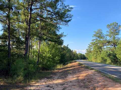 FIRETOWER ROAD, CUSSETA, GA 31805