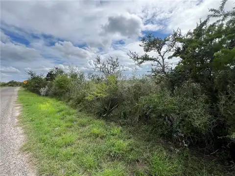 0 County Road 185, Orange Grove, TX 78372