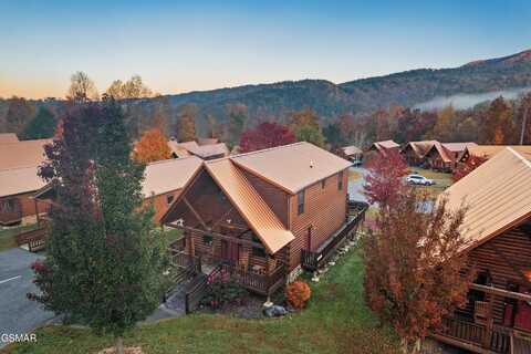 223 Forrest Loop Way, Gatlinburg, TN 37738