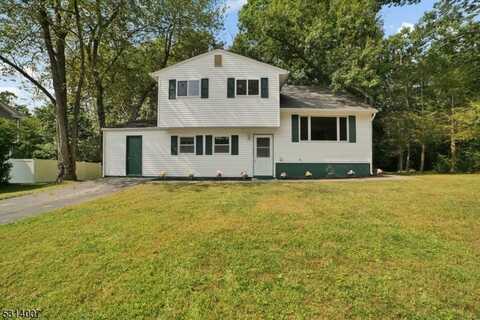 36 Young Dr, Stanhope, NJ 07874