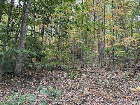 Lot 156 New Hampshire Drive, Webster, NH 03303