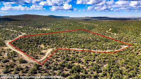 1399 N Thunder Ridge Ranch Road, Seligman, AZ 86337