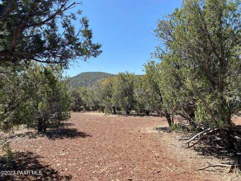 Lot 392 Westwood Ranch, Williams, AZ 86046