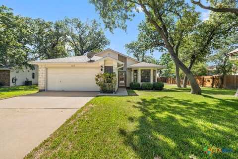 409 Trumpet Vine Trail, Cedar Park, TX 78613