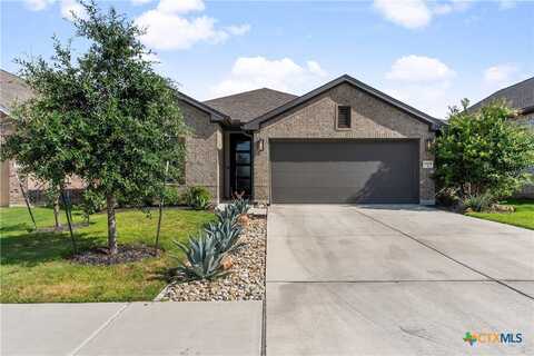 2009 Caritas Drive, Leander, TX 78641