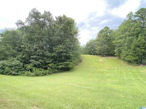 964 BLUE RIDGE WAY, ODENVILLE, AL 35120