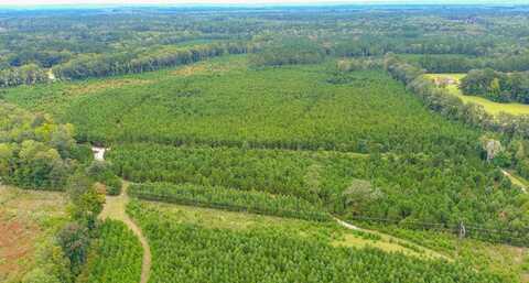0 Charleston Highway, Walterboro, SC 29488