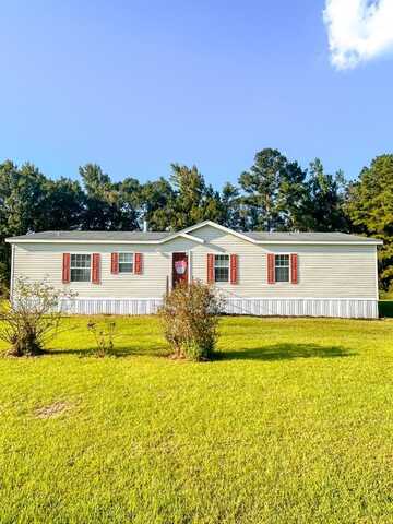 75 Riverbend Dr, Willacoochee, GA 31650