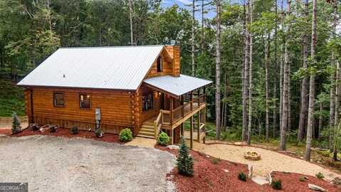 110 Pigeon Creek Road RD, Blue Ridge, GA 30513