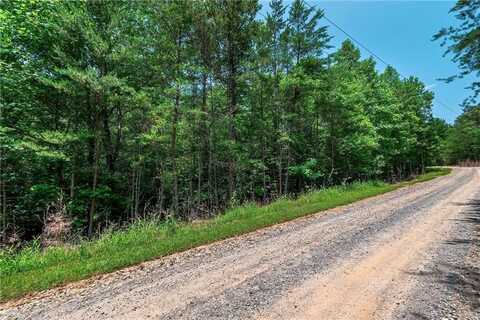 3.35AC Pine Lane, Mineral Bluff, GA 30559