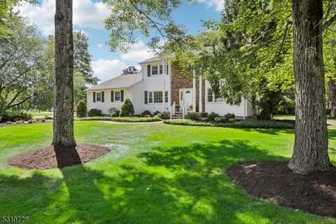 17 Winding Way, Randolph, NJ 07869