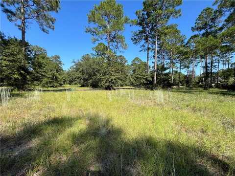 Lot 111 Sapelo Park Drive, Townsend, GA 31331