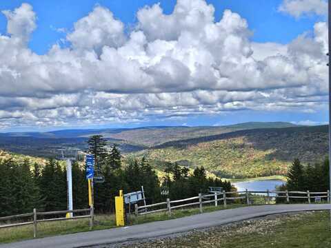 230 Mountain Lodge Ln, Snowshoe, WV 26209