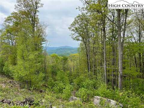 Lot S-112 Eagle Eye Court, Banner Elk, NC 28604